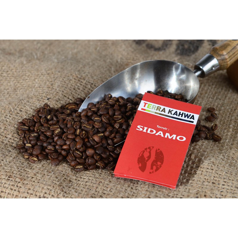 Sidamo café torréfié, café d’Ethiopie klessentiel.com