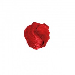 Rouge à lèvres Rouge Cerise (Catwalk) - Benecos klessentiel.com