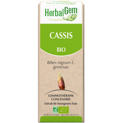Cassis - Herbalgem- klessentiel.com