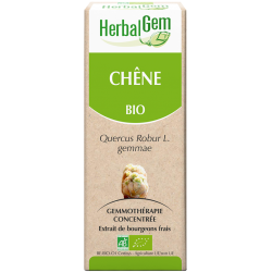 bourgeon de Chêne - Herbalgem - klessentiel.com