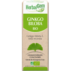 Ginkgo biloba - Herbalgem - klessentiel.com