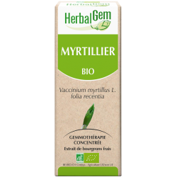 Myrtillier - Herbalgem - klessentiel.com