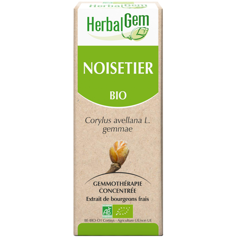 Noisetier - Herbalgem - klessentiel.com