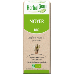 Noyer - Herbalgem - klessentiel.com
