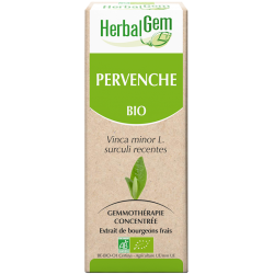 Pervenche - Herbalgem - klessentiel.com