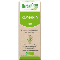 Romarin - Herbalgem - klessentiel.com