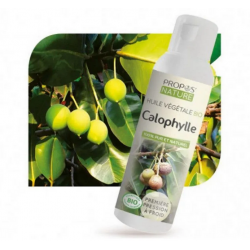 Huile végétale Calophylle Bio - Propos Nature klessentiel.com