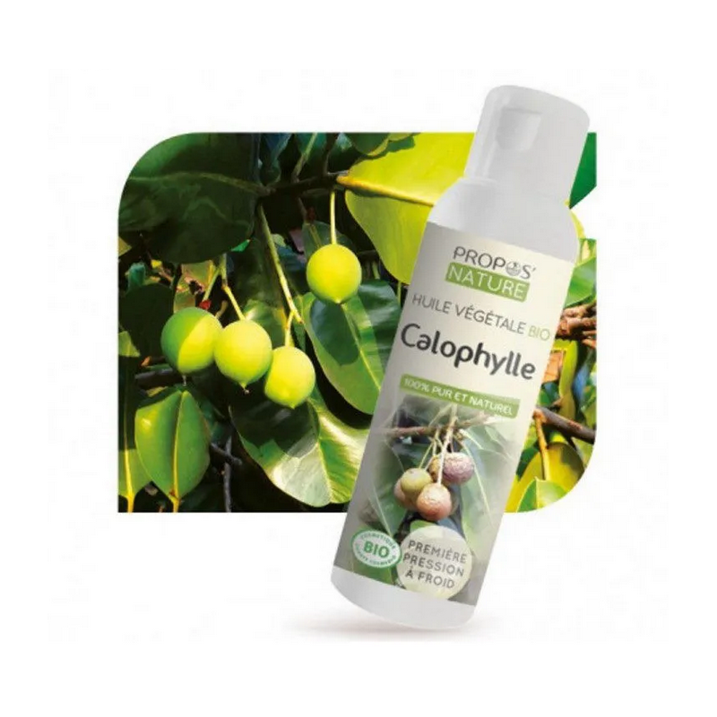 Huile végétale Calophylle Bio - Propos Nature klessentiel.com