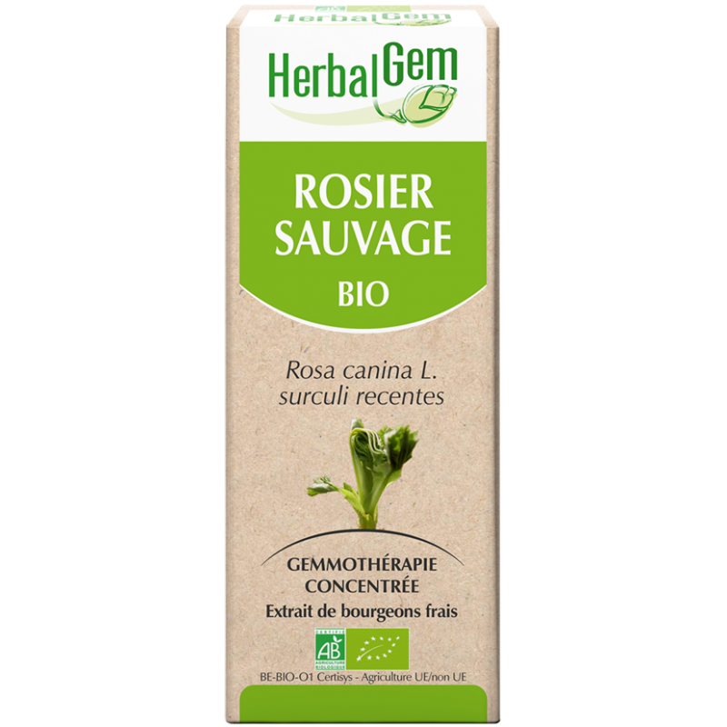 Rosier sauvage - Herbalgem - klessentiel.com