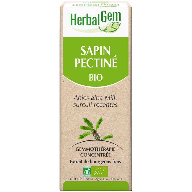 Sapin pectiné - Herbalgem - Klessentiel.com