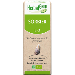 Sorbier - Herbalgem- klessentiel.com