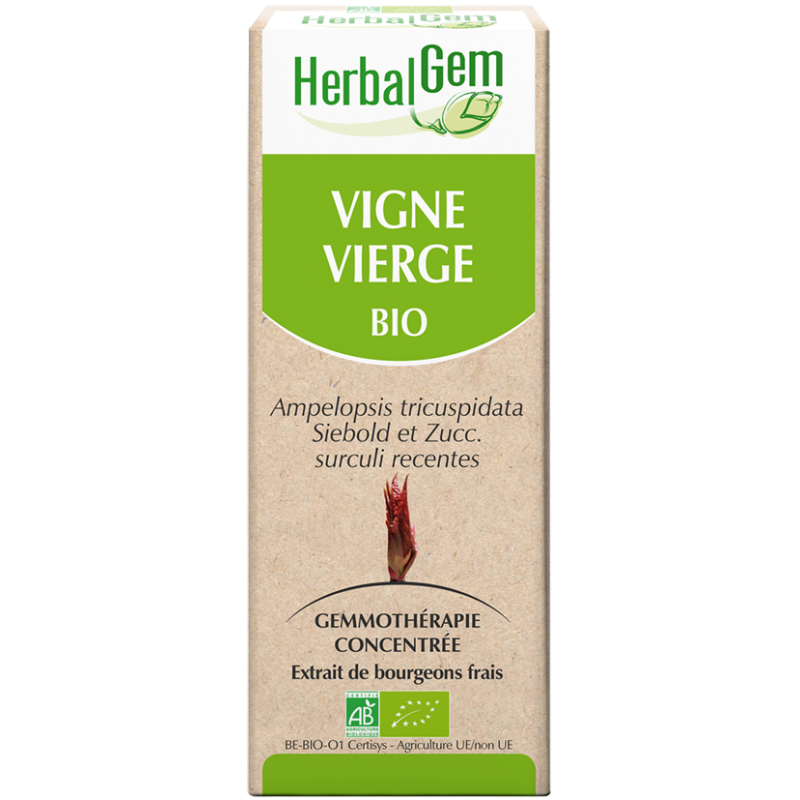 Vigne vierge - Herbalgem - klessentiel.com