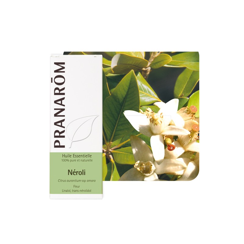 neroli klessentiel.com neroli klessentiel.com