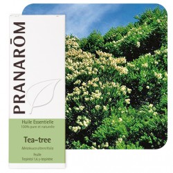 Tea Tree - Pranarom klessentiel.com