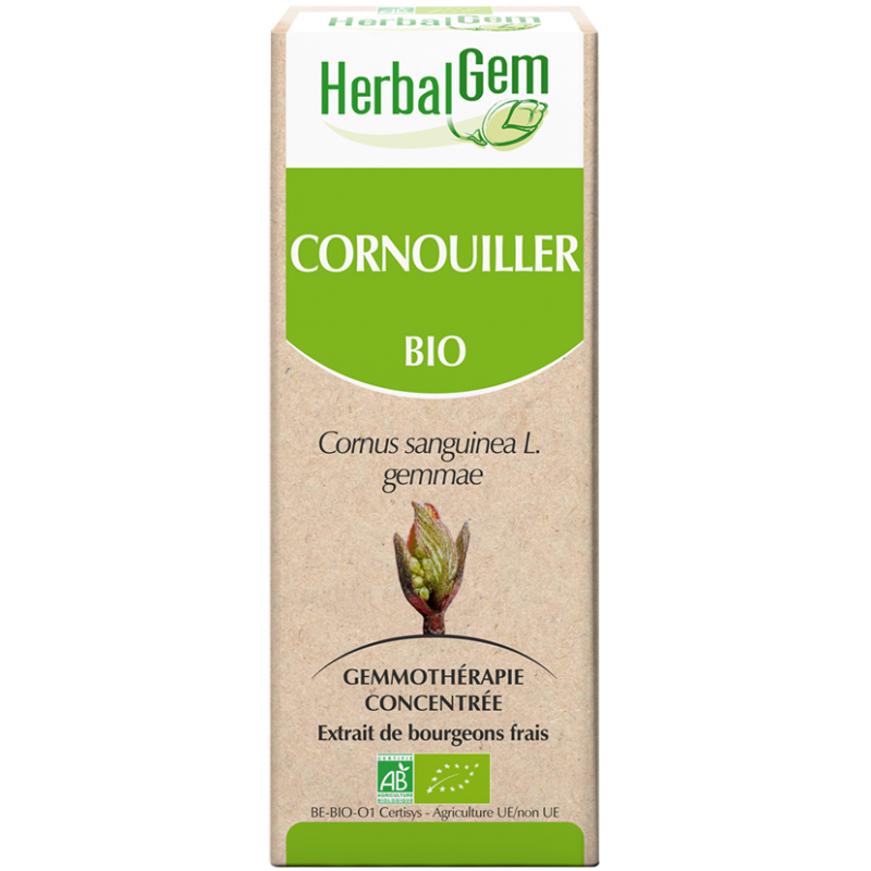 bourgeon de cornouiller- herbalgem - klessentiel.com