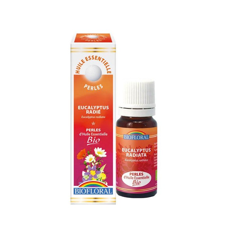 Perles d’huile essentielle euclayptus radiata bio,biofloral, klessentiel.com