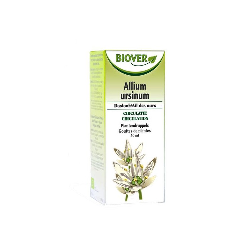 Ails des ours / Allium Ursinum biover klessentiel.com