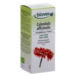 Soucis / Calendula Officinalis Biover klessentiel.com